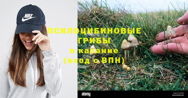 метадон Абаза